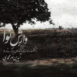 «وارش نوا»؛ تازه‌ترین اثر آیدین نورمحمدی منتشر شد